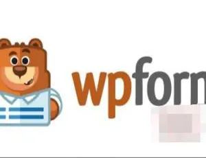 WPForms Pro 1.6.5.1 中文汉化破解版：自定义拖放表单设计的 WordPress 插件神器-小文资源网