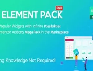 Element Pack Pro 5.8.0 超棒汉化中文破解版：Elementor 必备 WordPress 插件-小文资源网