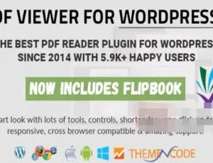 WordPress 10.2必备！超火PDF查看器汉化破解插件-小文资源网