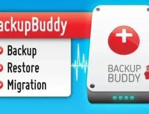 BackupBuddy 8.7.3.0汉化破解：超高级WordPress网站备份还原插件-小文资源网