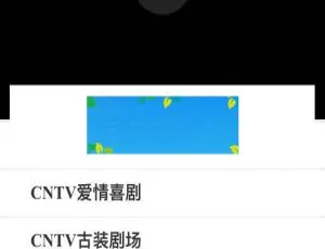 PHP大神亲测！小巧免数据库手机直播系统源码下载-小文资源网