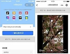 抖音无后台独立版去水印小程序源码-小文资源网