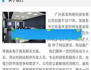 必看！企业微官网1.0.0网络科技官网源码