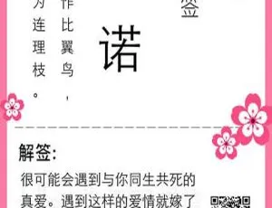 探秘桃花签v1.0的奇妙世界