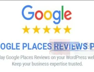 Google Places Reviews Pro 2.4.2汉化版：谷歌企业评论评分的WordPress插件-小文资源网