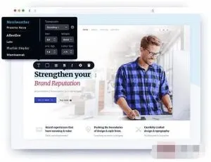 Brizy Pro 2.2.11 汉化版：WordPress 页面可视化自定义设计插件-小文资源网
