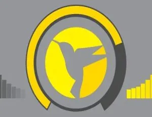 Hummingbird Pro 3.1.0 完美汉化版：优化 WordPress 网站速度、缓存及 PageSpeed 排名插件-小文资源网