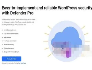 WPMU Dev Defender Pro 2.6.5汉化版：WordPress必备防火墙安全插件-小文资源网