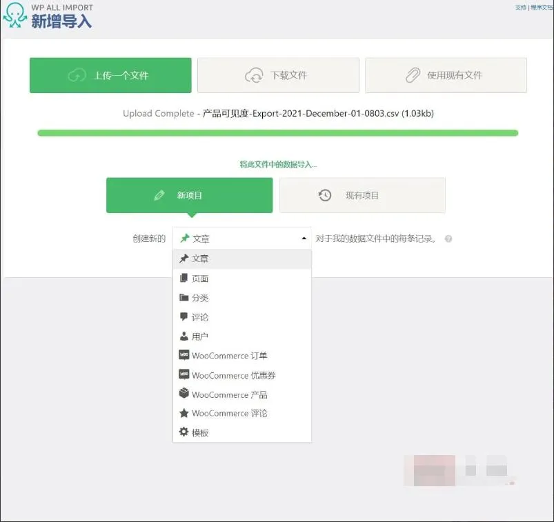 WP All Import Pro 4.7.2.1.1汉化中文版|将XML/CSV/Excel文件导入WordPress插件