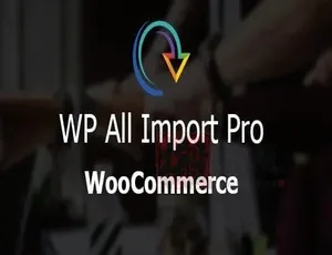 WP All Export Pro 1.7.3.1.7汉化版：WordPress站点数据一键导出CSV/Excel/XML-小文资源网