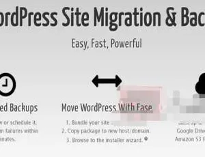 Duplicator Pro 4.0.5.3汉化中文版：WordPress网站迁移备份必备插件