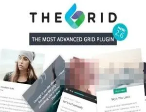 《必看！The Grid 2.7.9.1 完美汉化含模板的高级WordPress插件》-小文资源网