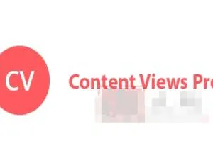 必看！Content Views Pro 5.8.9汉化中文版，WordPress网格排版与自定义设计插件-小文资源网