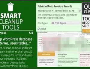 Smart Cleanup Tools 5.0汉化版：数据库智能清理优化的WordPress插件-小文资源网