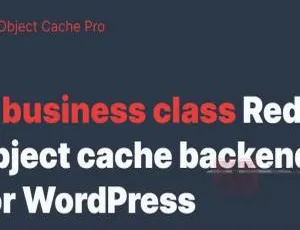 Redis Cache Pro 1.16.1专业版：加速WordPress的高级对象缓存插件-小文资源网