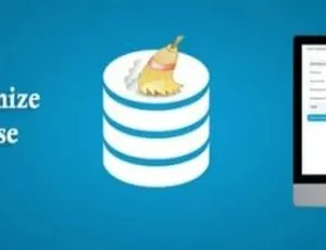 Advanced Database Cleaner Pro 3.2.0汉化版：WordPress数据库清理加速专业插件-小文资源网