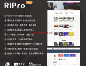 Ripro7.1 日主题版开心版：无限制去授权解密源码-小文资源网