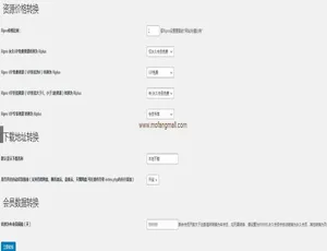 WordPress必备！RiPro与RiPlus资源文章转换插件大揭秘-小文资源网