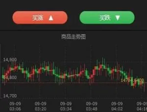热门！C204 PHP源码 二开微交易 时间盘 K线正常版 类银河证券