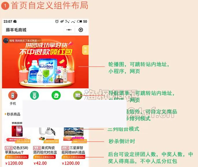 薅羊毛拼团商城V1.1.7多开版+前端
