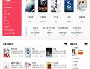 2020 全新粉色烂漫Thinkphp小说站源码：响应式+WAP手机版-小文资源网