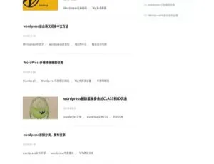 《惊艳！WordPress柚子皮主题打造新闻媒体资讯博客空间必备WP模板》-小文资源网