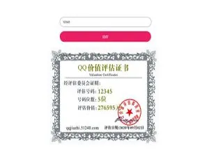 二次元 QQ 价值在线评估站源码大揭秘-小文资源网