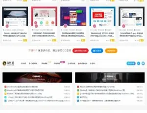 亲测可用！最新二开ripro虎造子主题 大气简洁含后台美化包v1.9-小文资源网