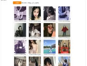PHP实现京东图床外链上传与瀑布流图片展示源码-小文资源网