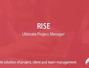 RISE 超棒 PHP 项目管理源码 2.4 版本来袭