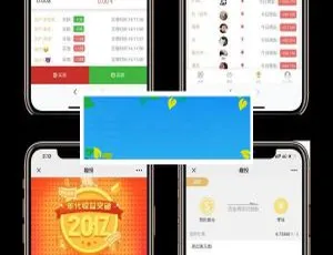 2019全新Thinkphp内核趣投币圈H5美元MAX币圈源码 附视频搭建教程及下载-小文资源网