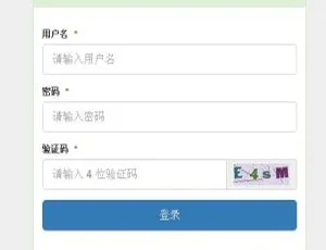 探秘 Baigo SSO 单点登录系统 v4.0 alpha2 新惊喜-小文资源网