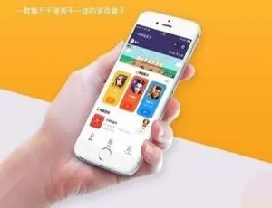 爆款！游戏盒子收费版小程序 v1.1.9 前端揭秘
