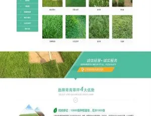 带手机移动端！织梦dedecms苗木草坪种植绿化工程企业网站模板