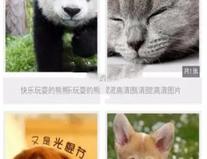Thinkphp 附近小程序源码：含前后端完整版图片管理小程序