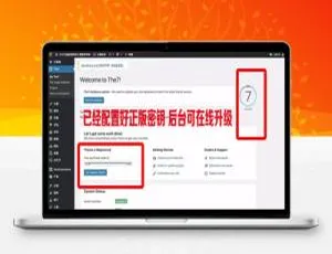 The7主题V8.7：可视化建站必备的WordPress主题