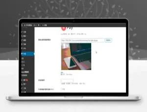必看！WPay 超简单实现付费查看下载 WordPress 无限制主题模板