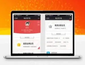 必看！Discuz支付购买会员组商业版 V2.180418 最新插件-小文资源网