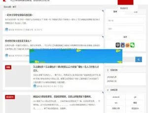 免费获取！带VIP会员系统的猴头客博客站整站WordPress主题源码打包