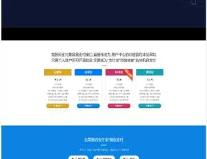 揭秘 5000 元三网免挂码支付系统-ss