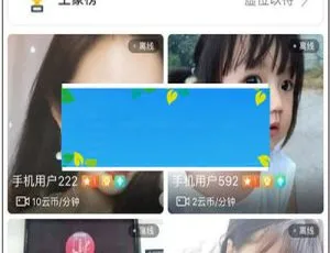 原生开发一对一视频直播社交交友聊天系统源码下载-小文资源网