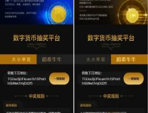 必看！哈希竞猜 2 套带后台前端模板及详细教程-小文资源网