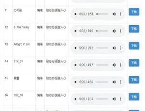 爆款！音乐、声音及歌曲高潮素材源码库