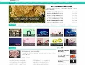 必看！带手机版数据同步的 QQ 空间日志说说网站源码及织梦模板-小文资源网