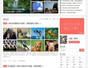 热门！织梦仿阿里百秀新版博客文章资讯PHP源码模板-小文资源网