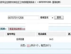 2020.06.08大学生村官成绩查询系统全新上线-小文资源网