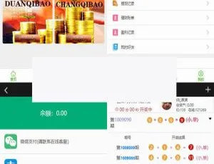揭秘！阿里金服与平安赢理财完整运营版源码流出