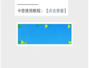 必看！VIP卡密助手1.0.5原版源码免费下载