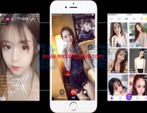 开源布谷系统直播源码大公开：一对一视频直播+APP源码