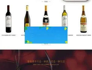 藏酒酒业高端响应式（手机移动端自适应）织梦dedecms酒窖网站模板-小文资源网
